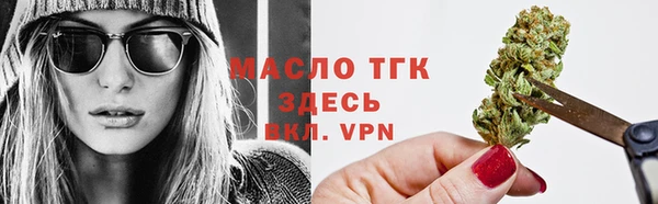прущие грибы Абинск