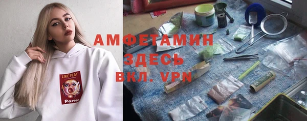 прущие грибы Абинск