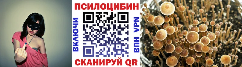 Псилоцибиновые грибы MAGIC MUSHROOMS  Богородицк 